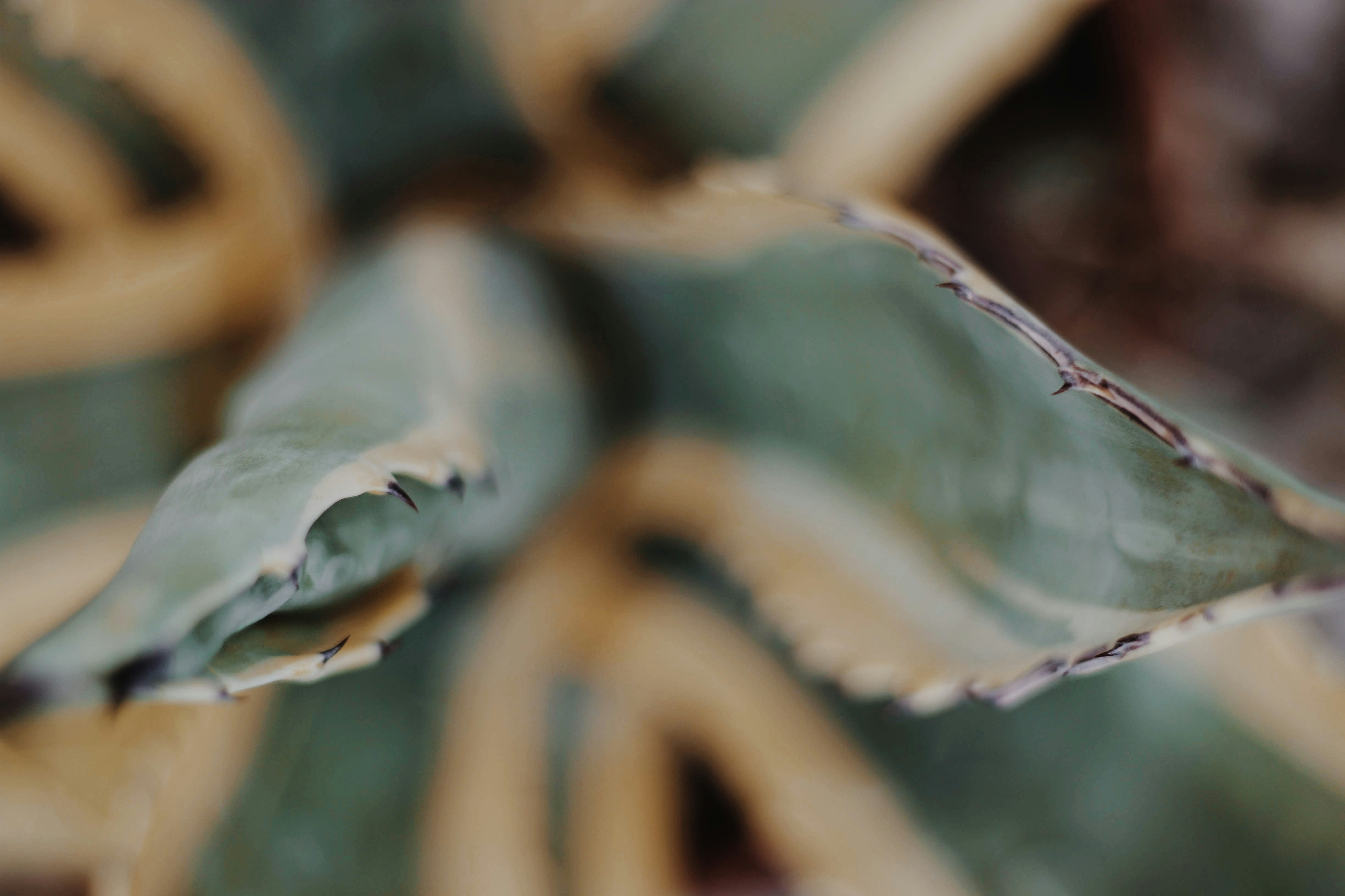 Photo by putyourcamout