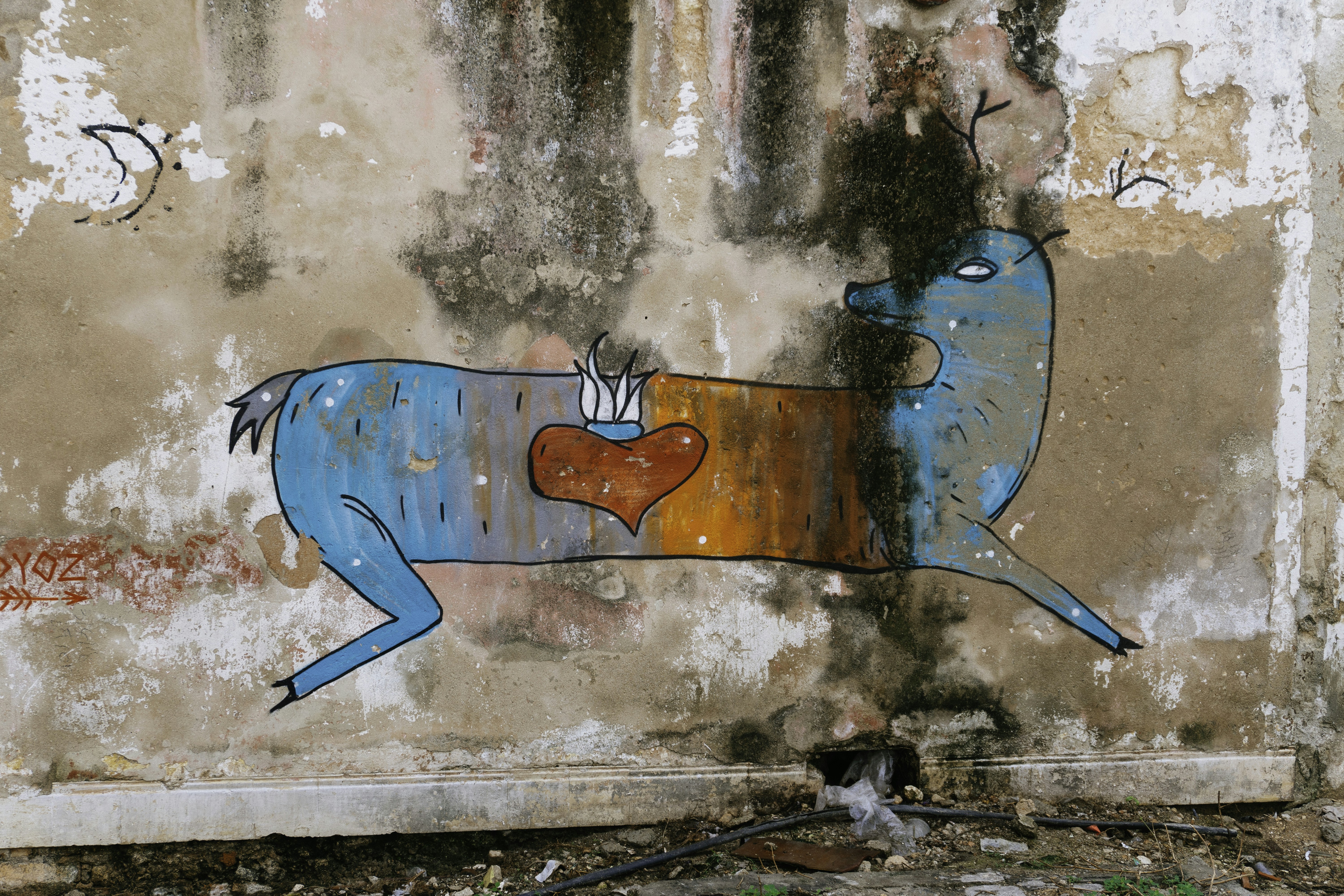 Photo by wolfishmoon