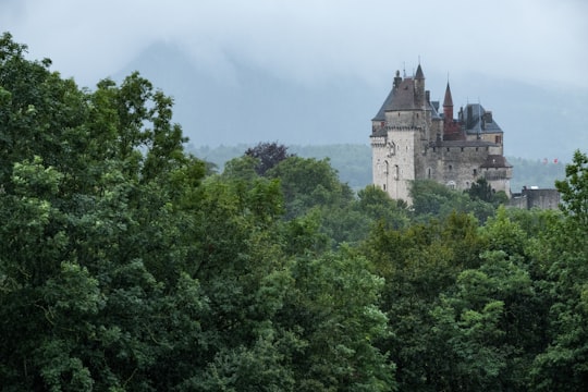 brown castle surrounded with tall and green trees under blue and white skies during daytime in Château de Menthon-Saint-Bernard France