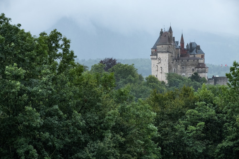 Castillo marrón rodeado de árboles altos y verdes bajo cielos azules y blancos durante el día