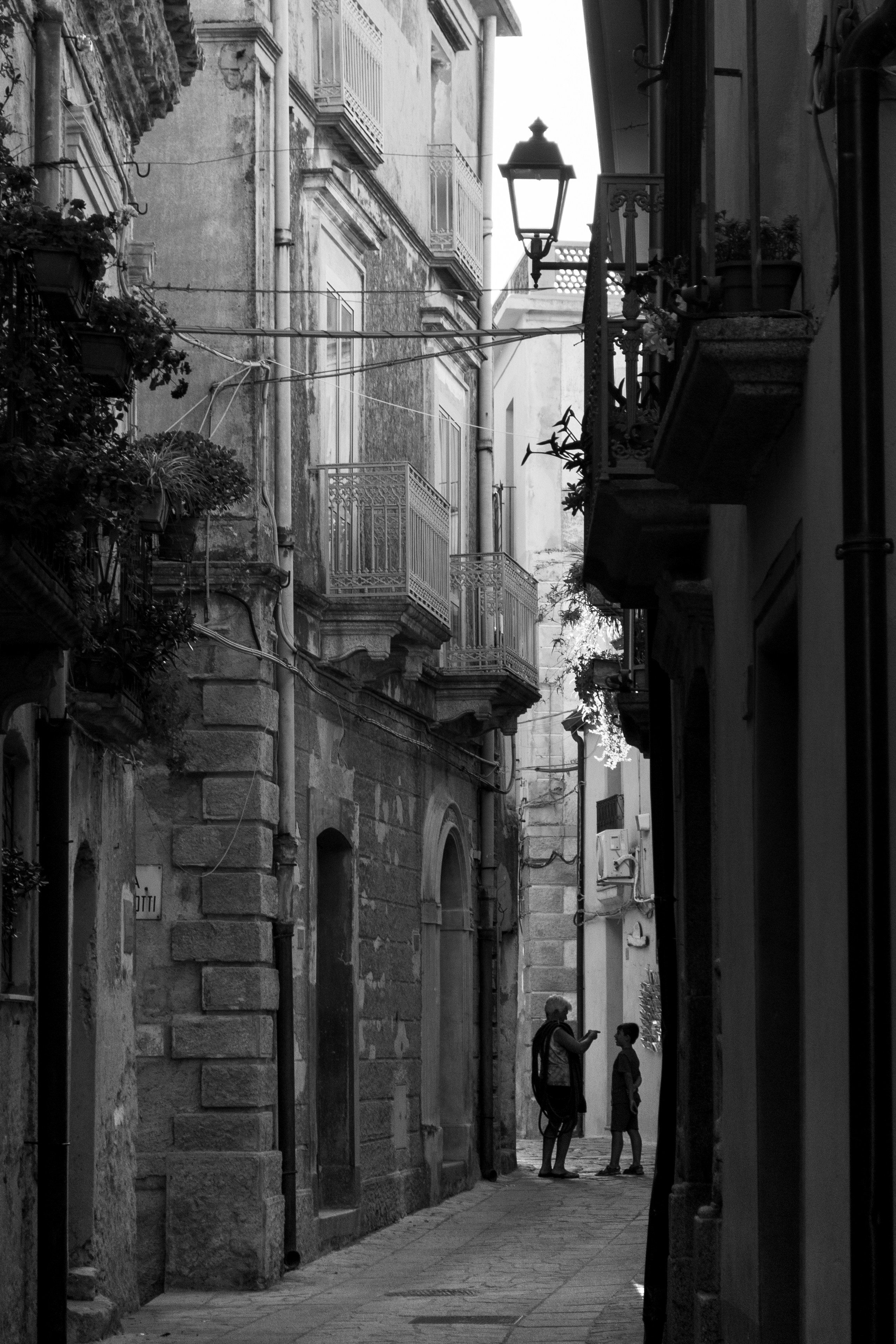 Photo by serenarepice