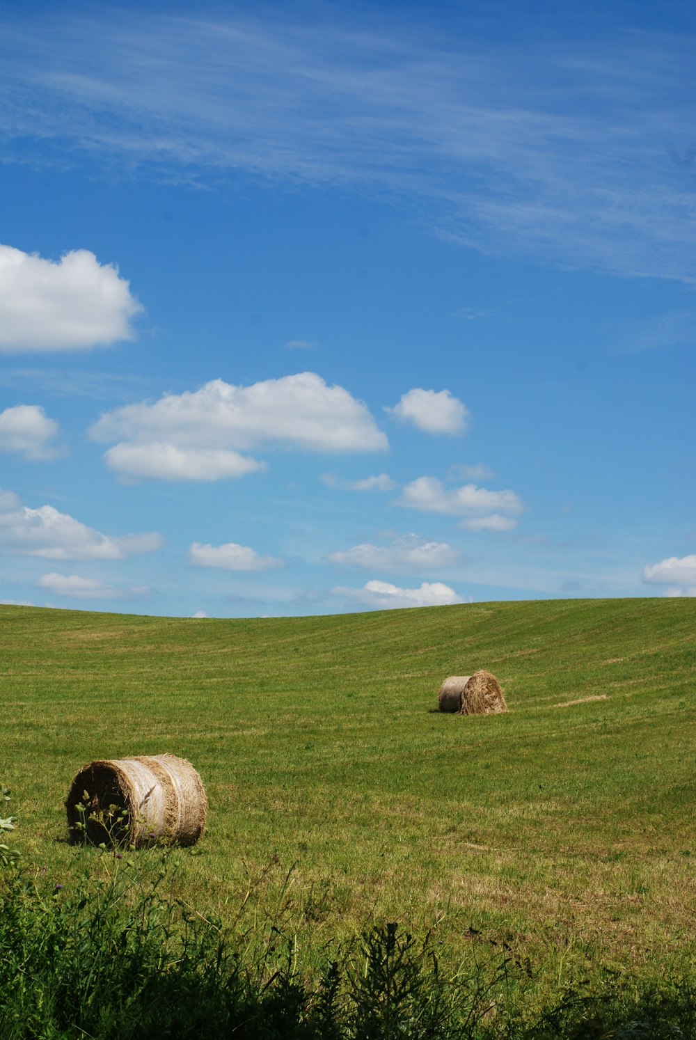 brown hays on grass field