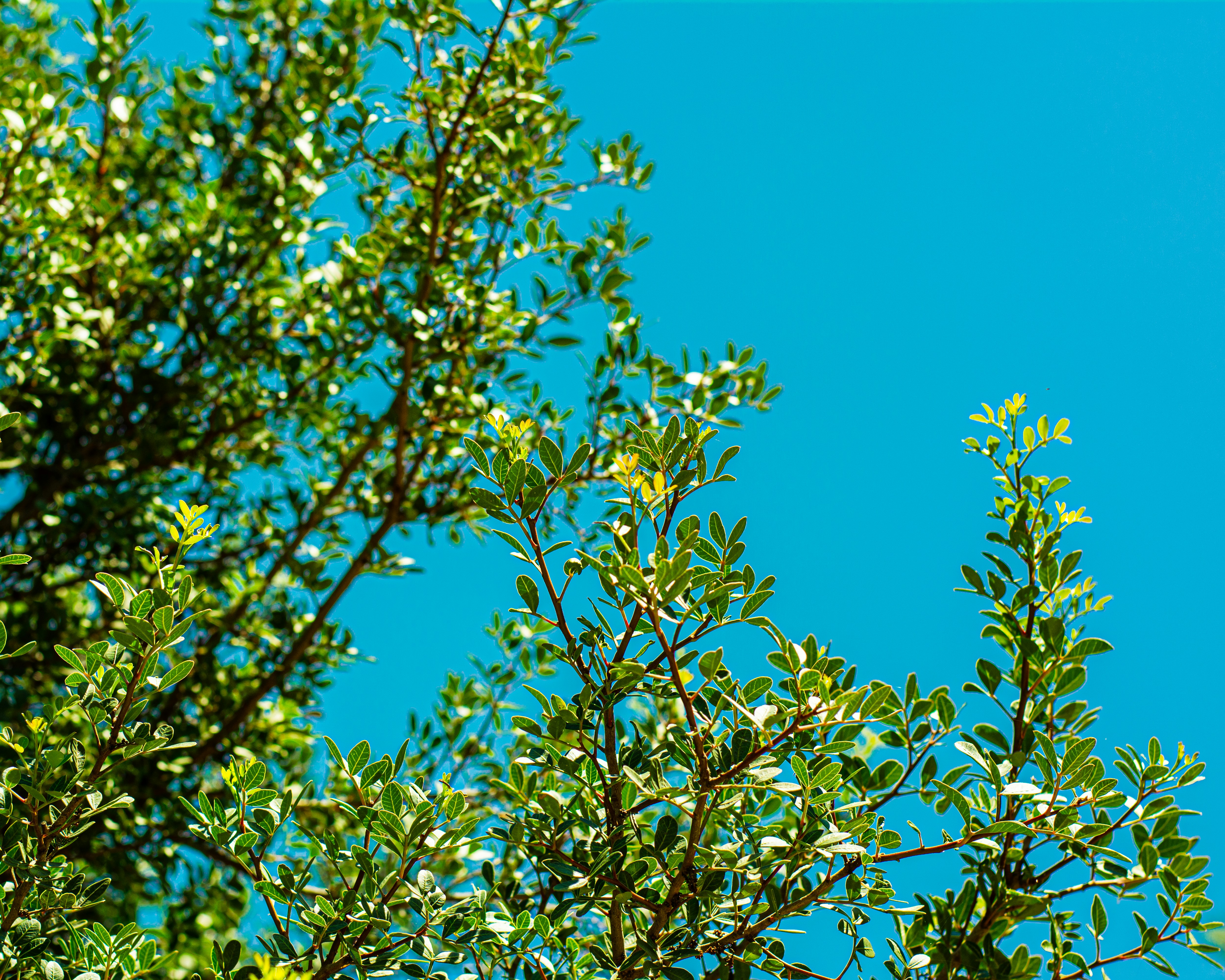 Photo by lenscapewithme