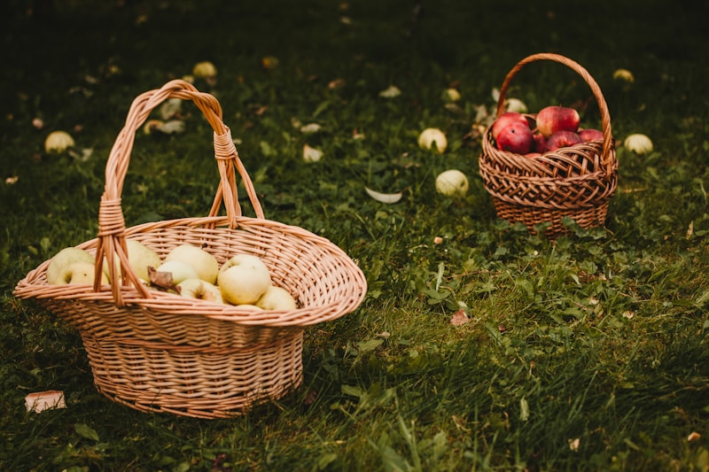 Basket In Dreams - Dream Interpretation and Meaning of Basket in Dreams |  Cafeausoul