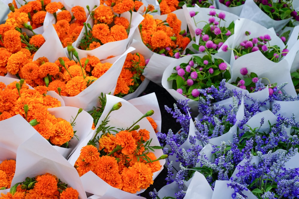 flores de pétalas laranjas e azuis
