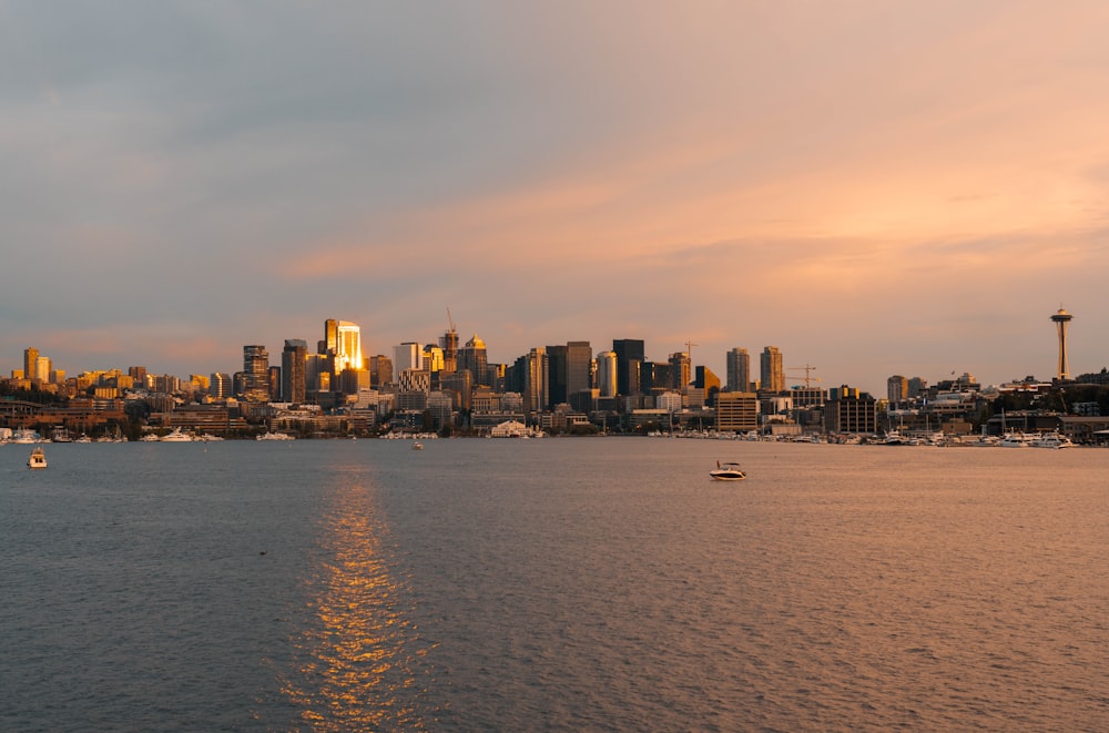 a large body of water with a city in the background