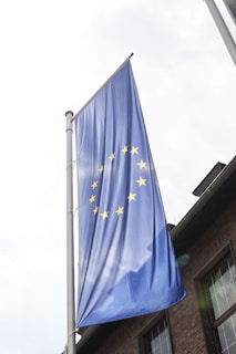 blue and brown flag
