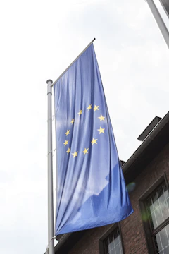 blue and brown flag