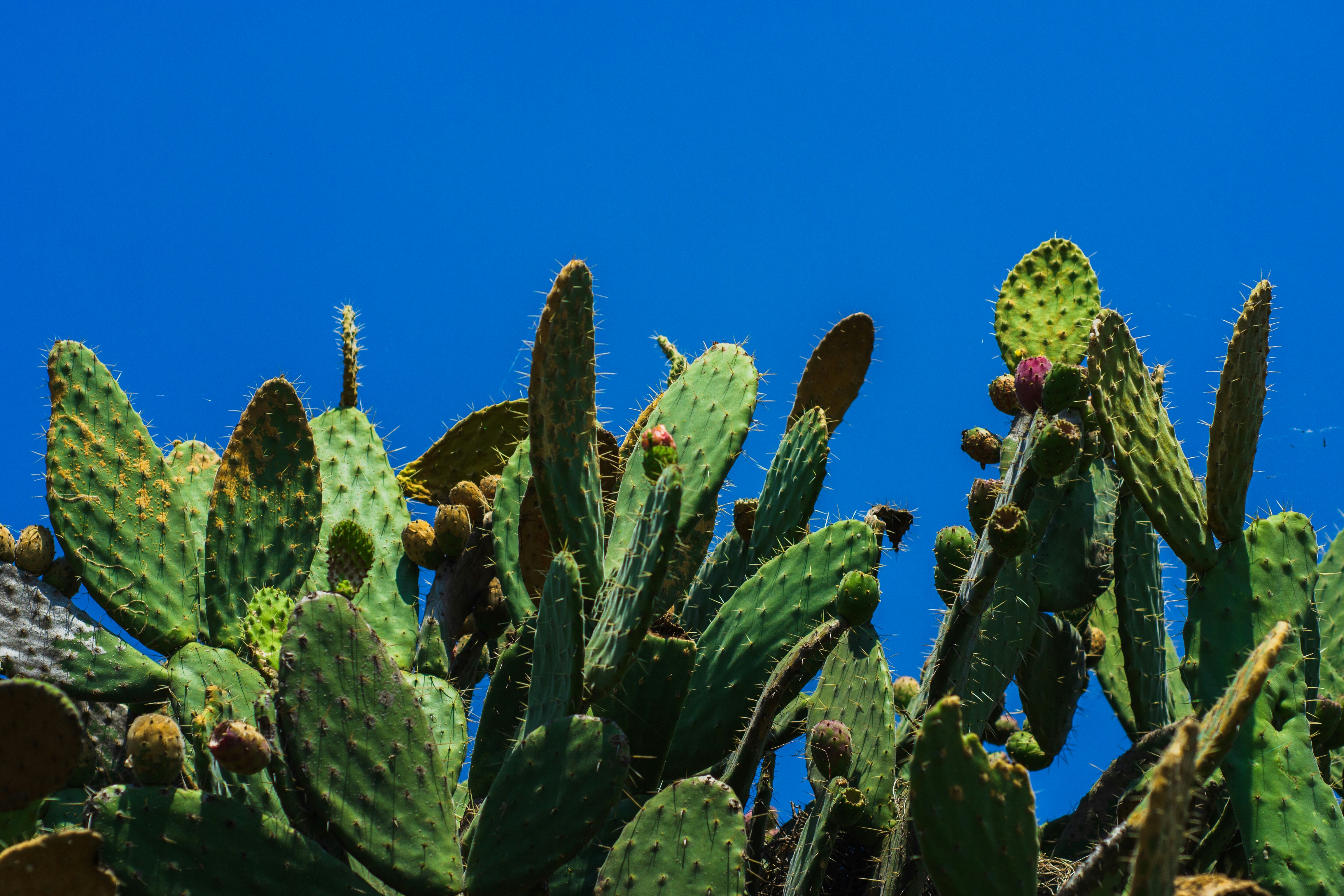 Photo by nielslyhne_kohan