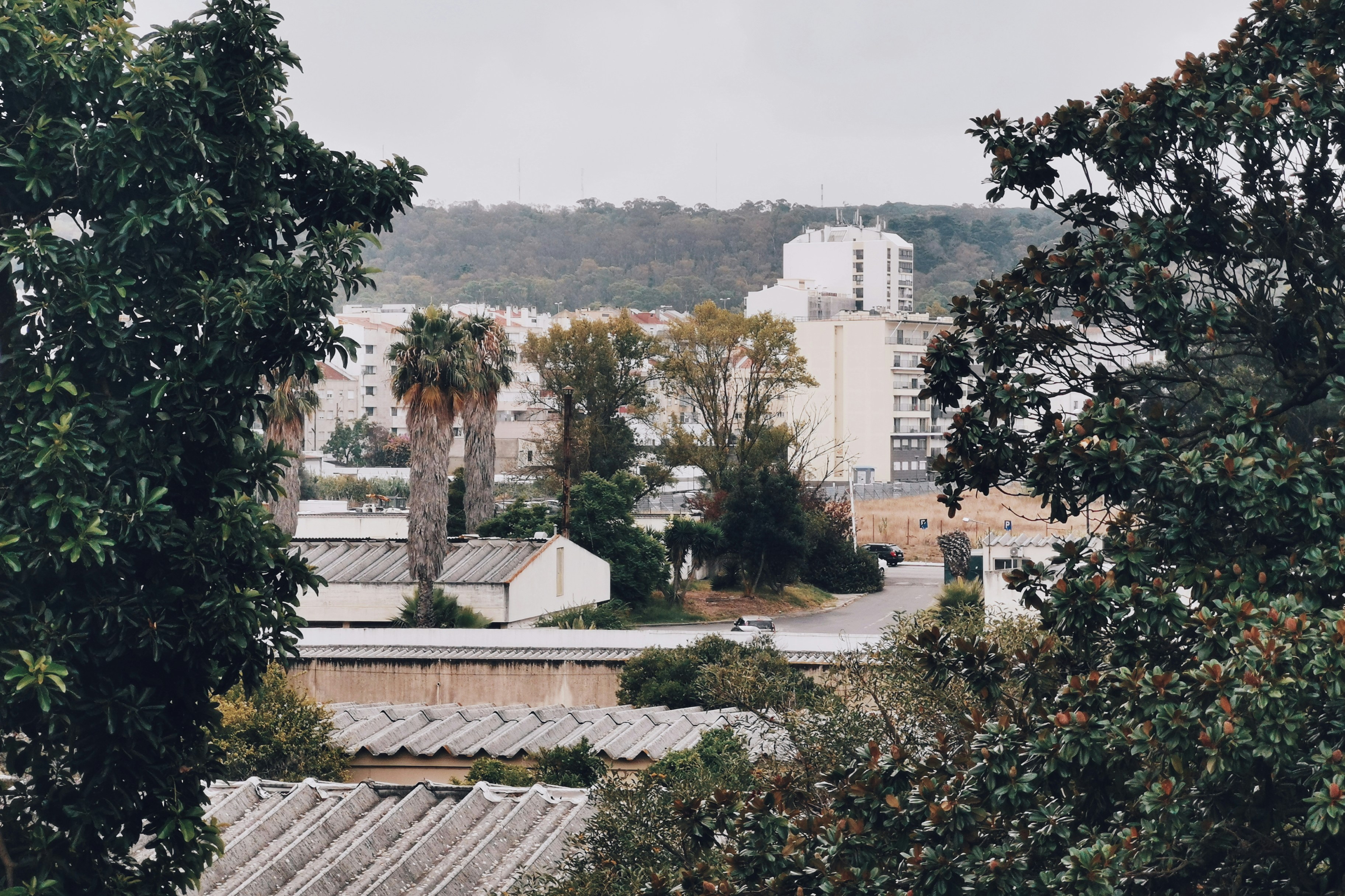 Photo by mruiandre
