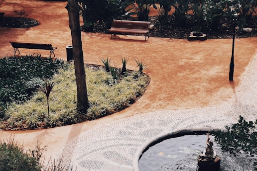 A peaceful park setting featuring a curved path with a mix of tiled and earthy surfaces. Wooden benches are placed along the path, surrounded by a variety of plants and small trees. A small pond or water feature with a statue is visible, adding to the tranquil environment.