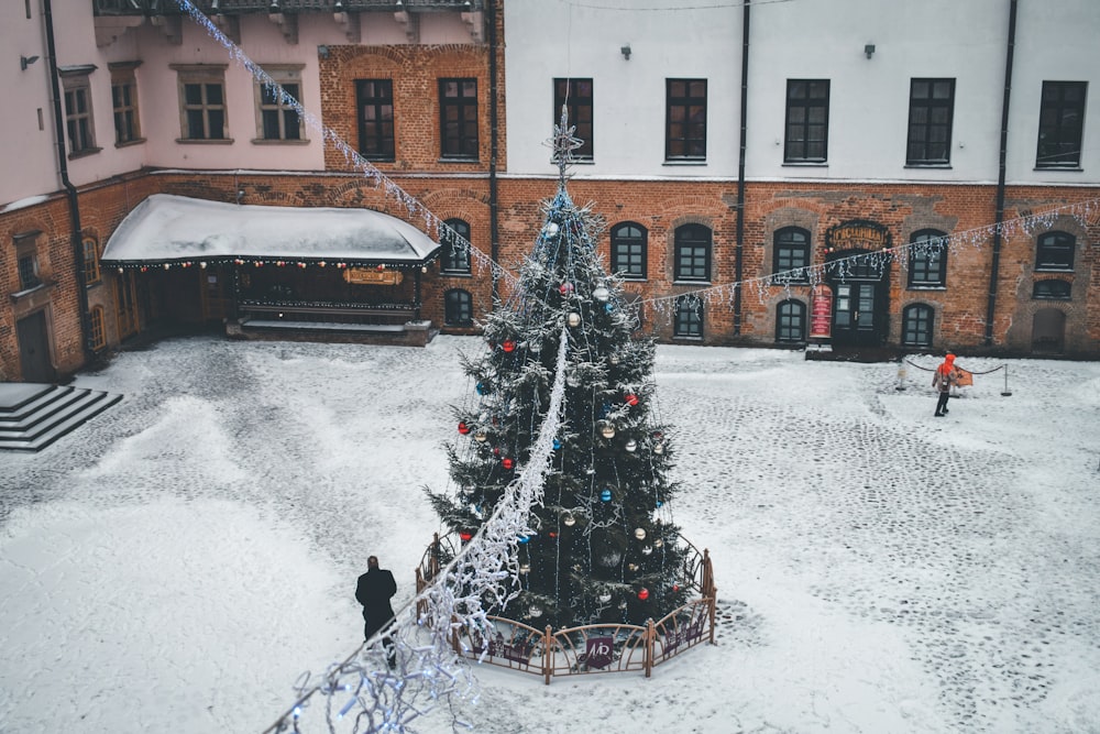 green holiday tree near building