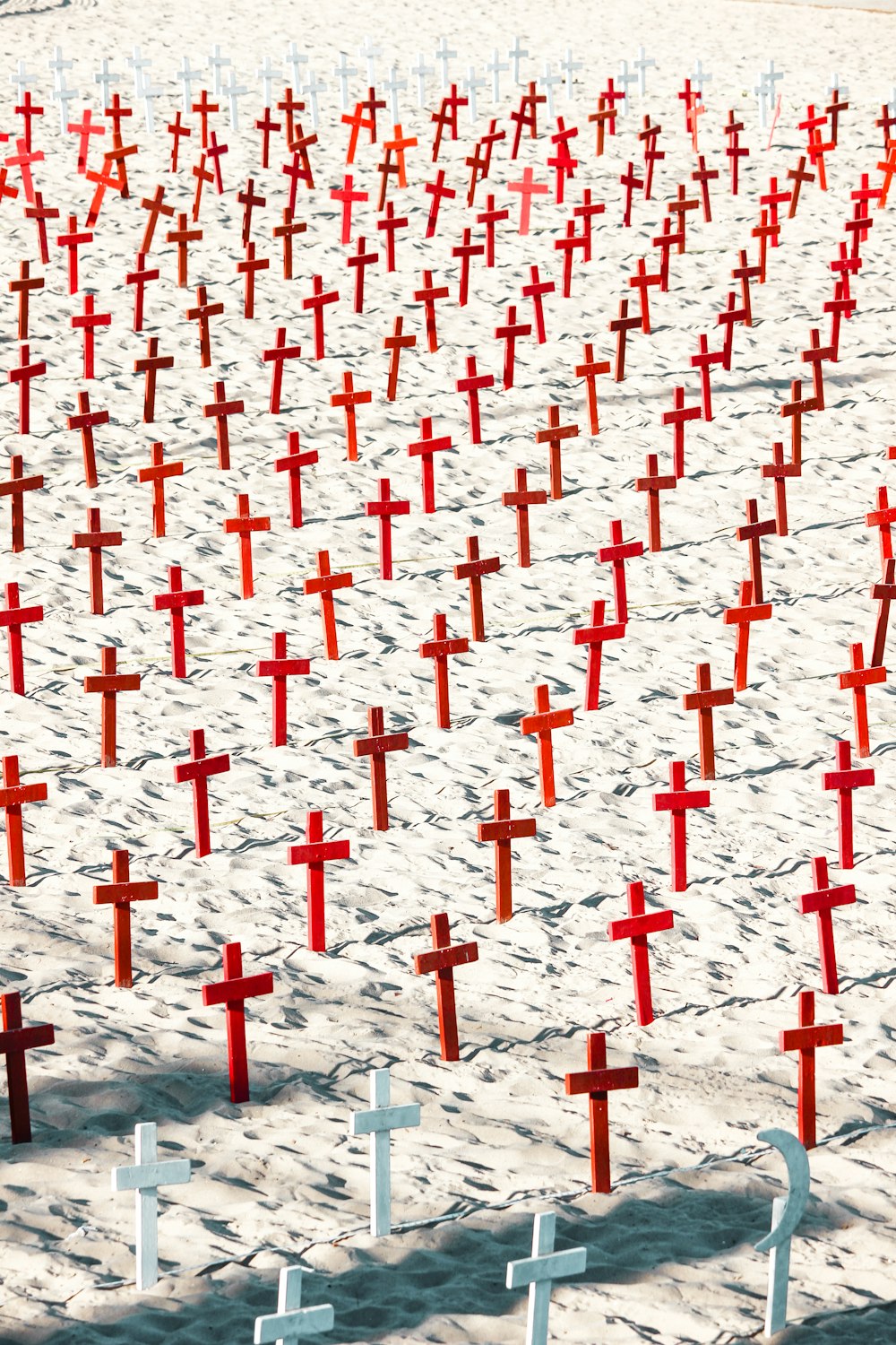 red and white cross lot