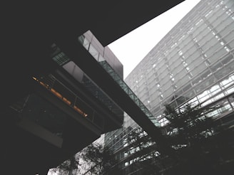 gray glass-panel building photo