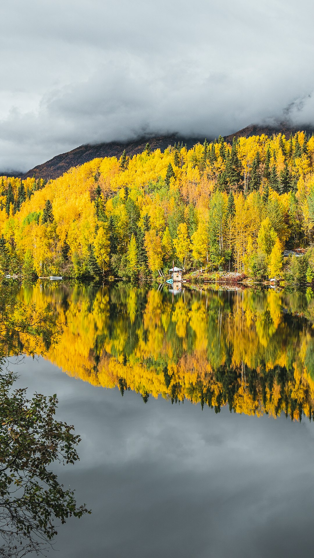 body of water near trees