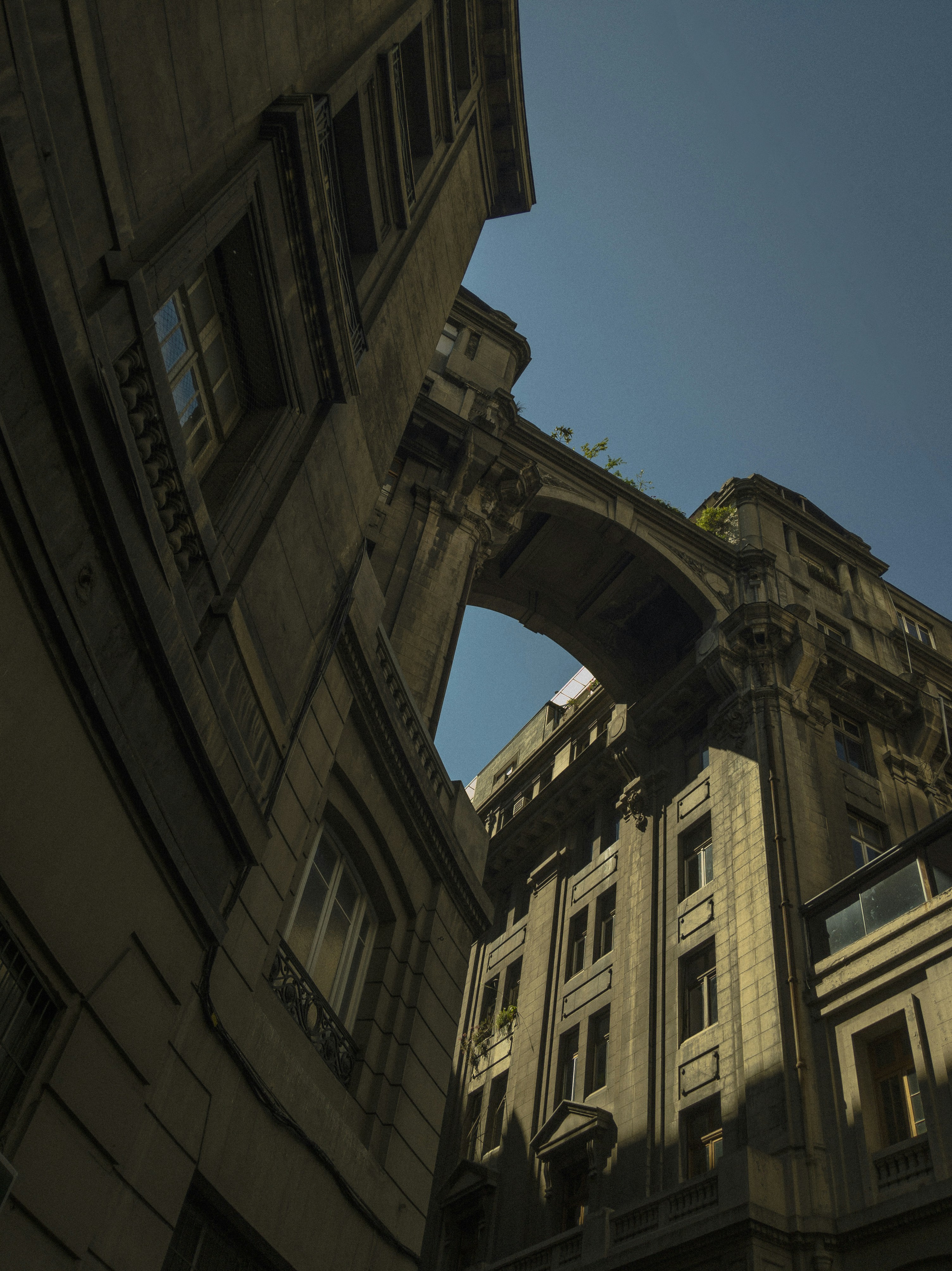 Photo by gonzalezgonzalezdiego