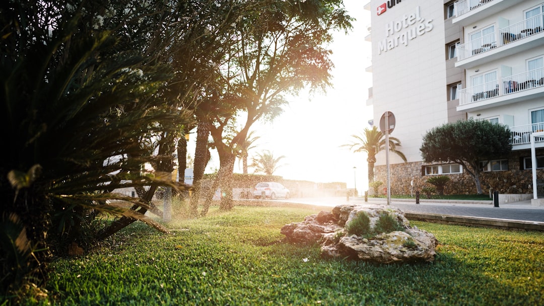 photo of grass field and white building