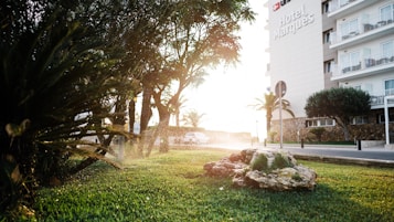A serene outdoor scene with a lush, green lawn in the foreground and a row of trees along the pathway. Sunlight filters through the trees, creating a warm glow. To the right, a modern hotel building with multiple balconies looms, displaying the name Hotel Marqu&eacute;s. A decorative rock with small plants sits on the grass.