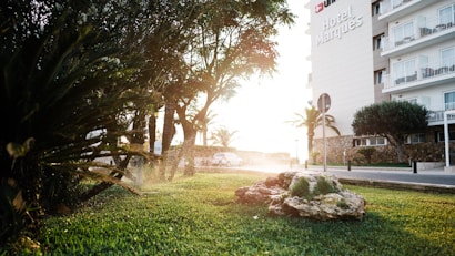 A serene outdoor scene with a lush, green lawn in the foreground and a row of trees along the pathway. Sunlight filters through the trees, creating a warm glow. To the right, a modern hotel building with multiple balconies looms, displaying the name Hotel Marqu&eacute;s. A decorative rock with small plants sits on the grass.