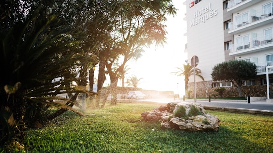 A serene outdoor scene with a lush, green lawn in the foreground and a row of trees along the pathway. Sunlight filters through the trees, creating a warm glow. To the right, a modern hotel building with multiple balconies looms, displaying the name Hotel Marqu&eacute;s. A decorative rock with small plants sits on the grass.