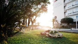 A serene outdoor scene with a lush, green lawn in the foreground and a row of trees along the pathway. Sunlight filters through the trees, creating a warm glow. To the right, a modern hotel building with multiple balconies looms, displaying the name Hotel Marqu&eacute;s. A decorative rock with small plants sits on the grass.
