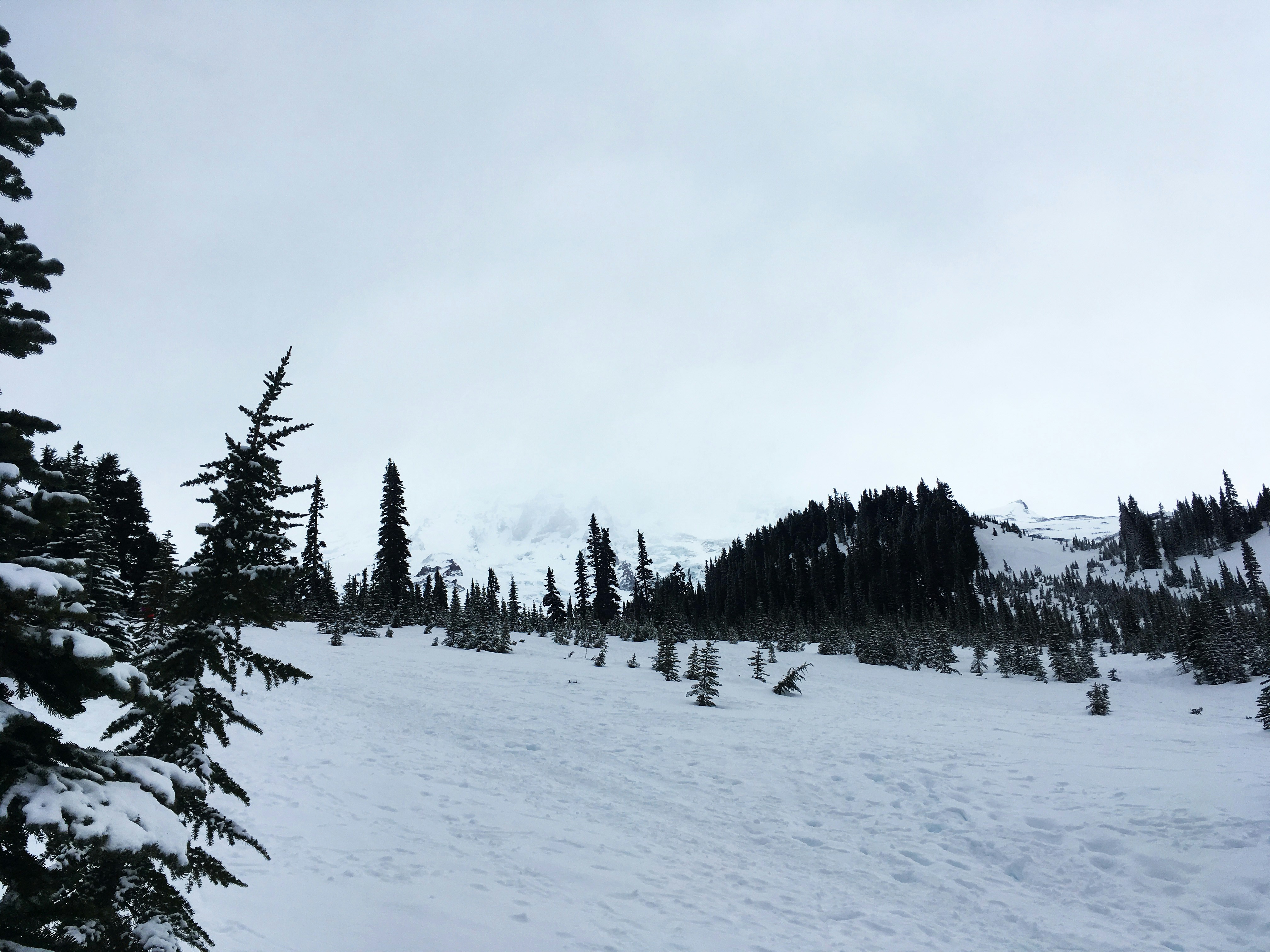 Photo by taralynnnix