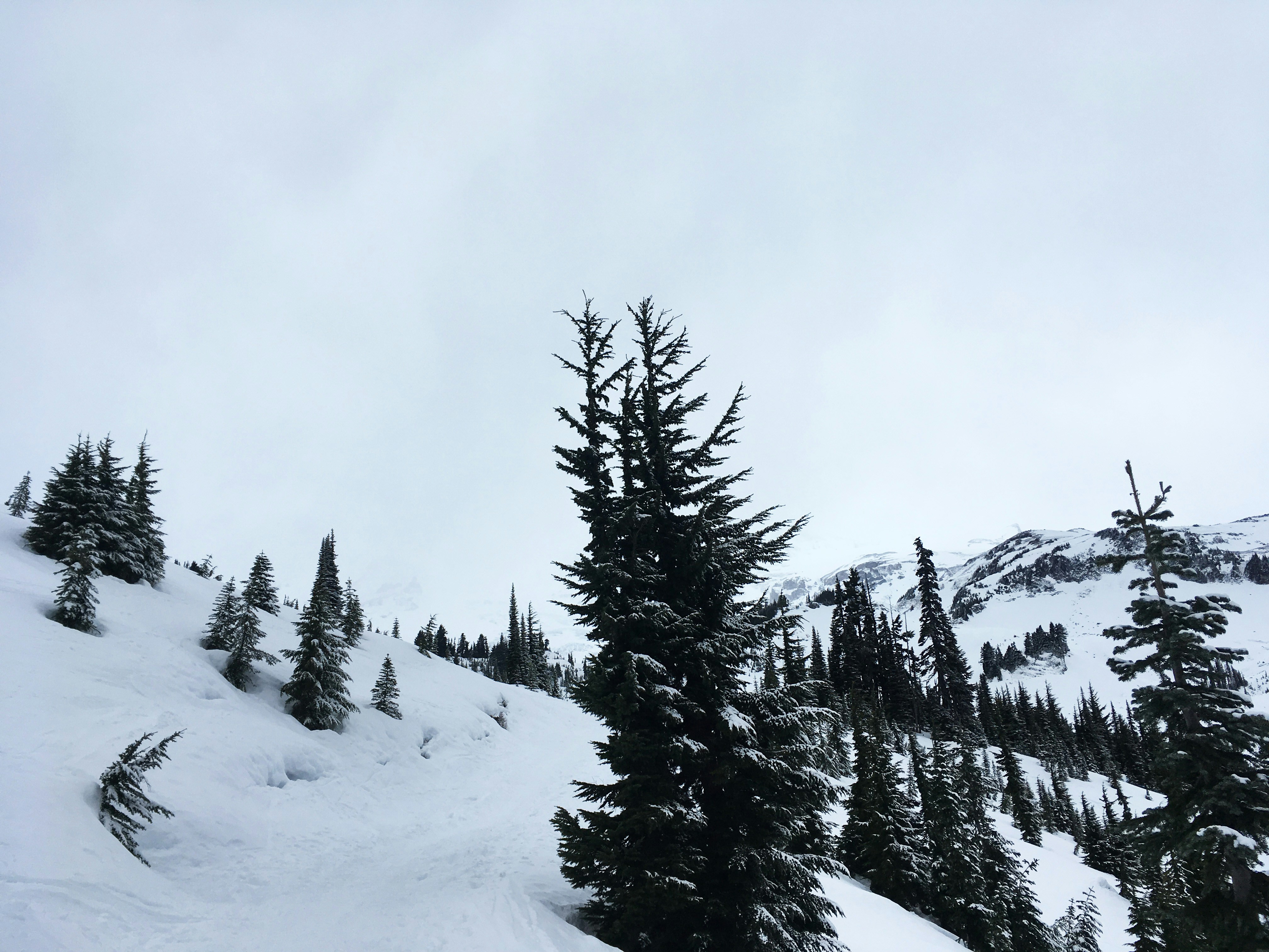 Photo by taralynnnix