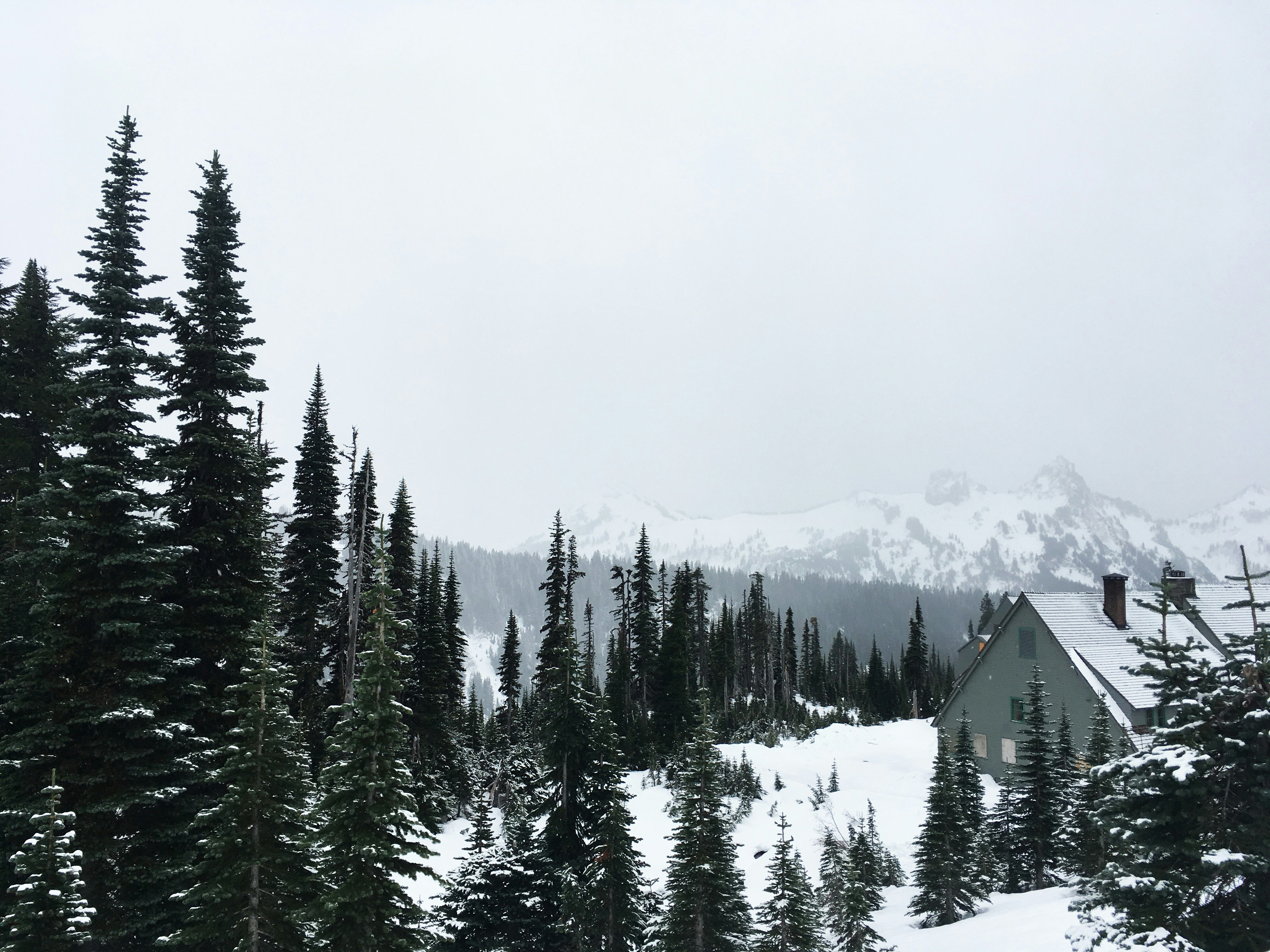 Photo by taralynnnix