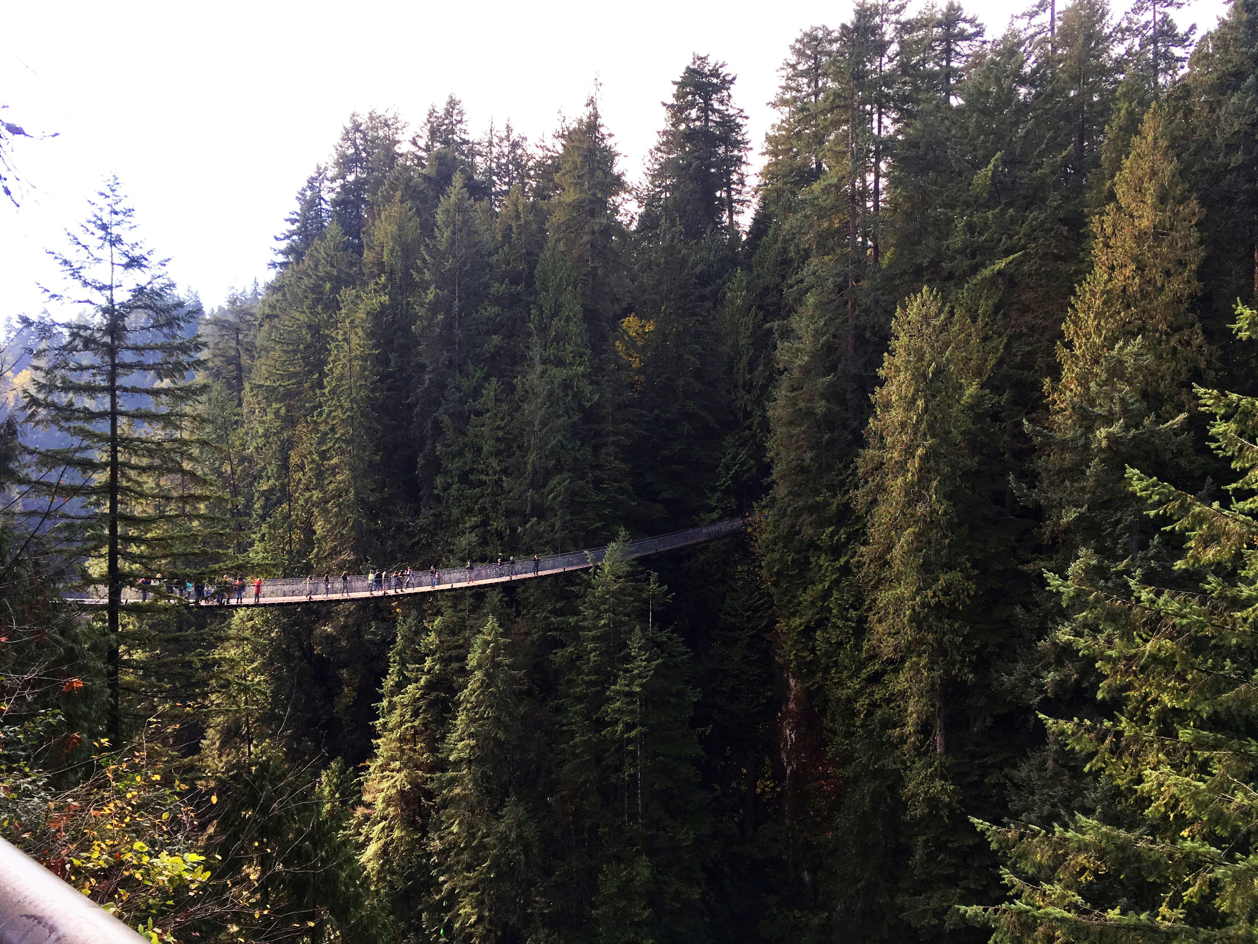 Photo by taralynnnix