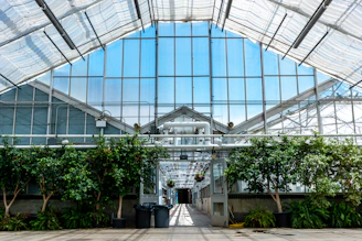A spacious, sunlit greenhouse filled with thriving plants and modern cultivation equipment.