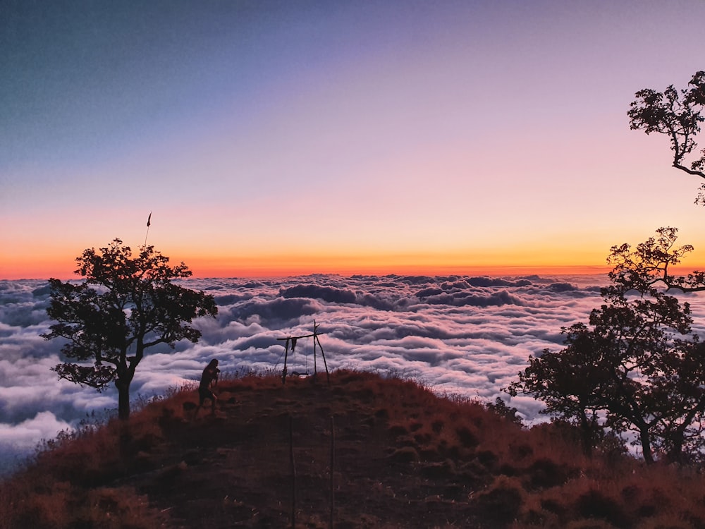 person on grass and tree mountain near clouds during day