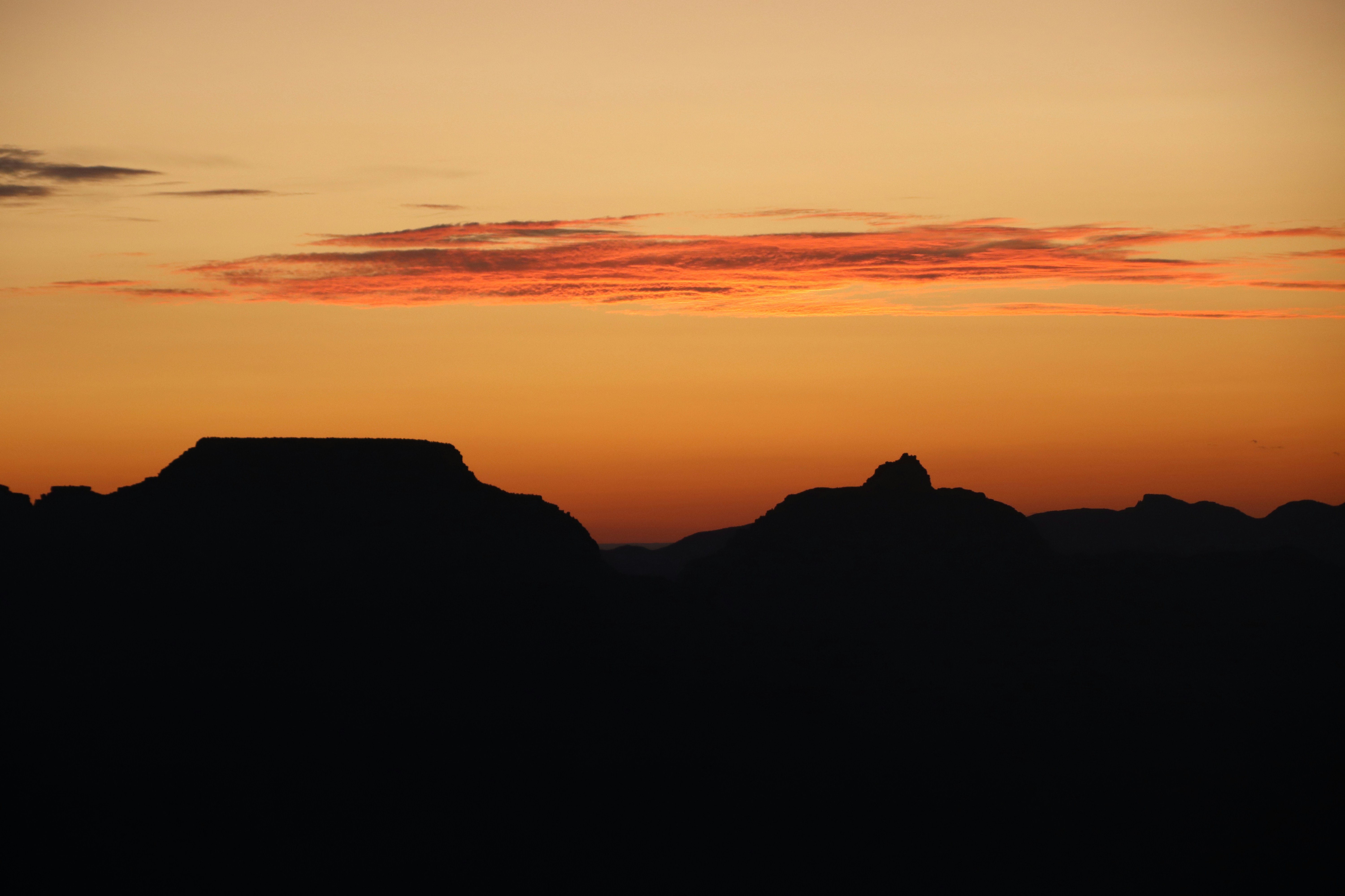 Photo by ivanasofia123