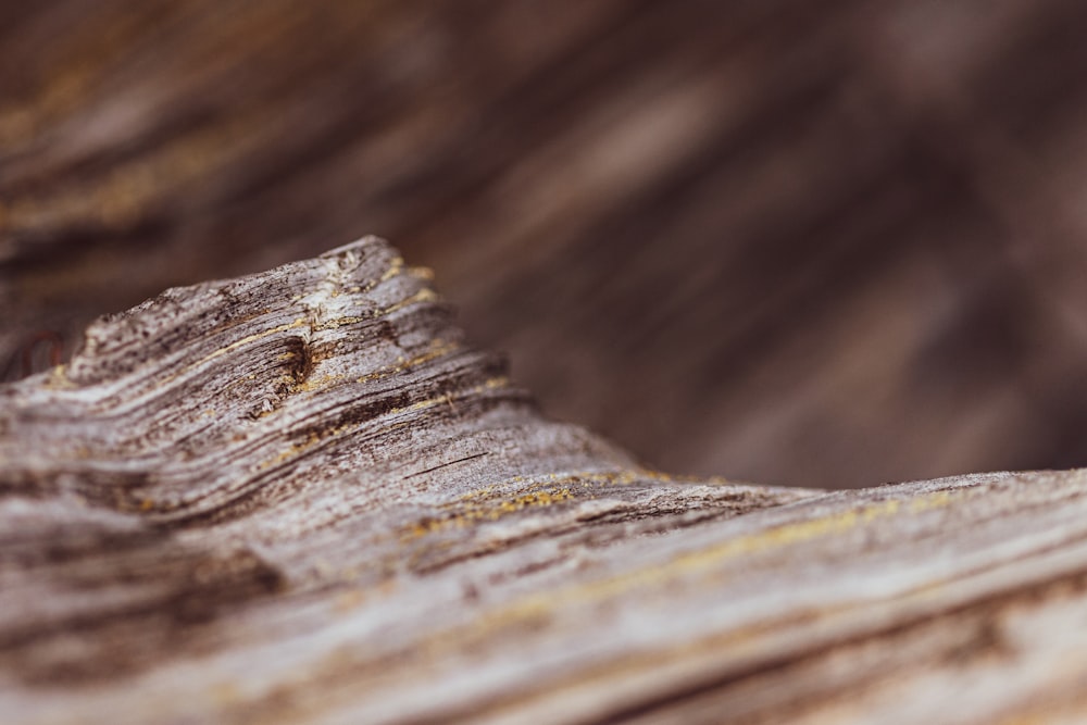 a close up of a piece of wood