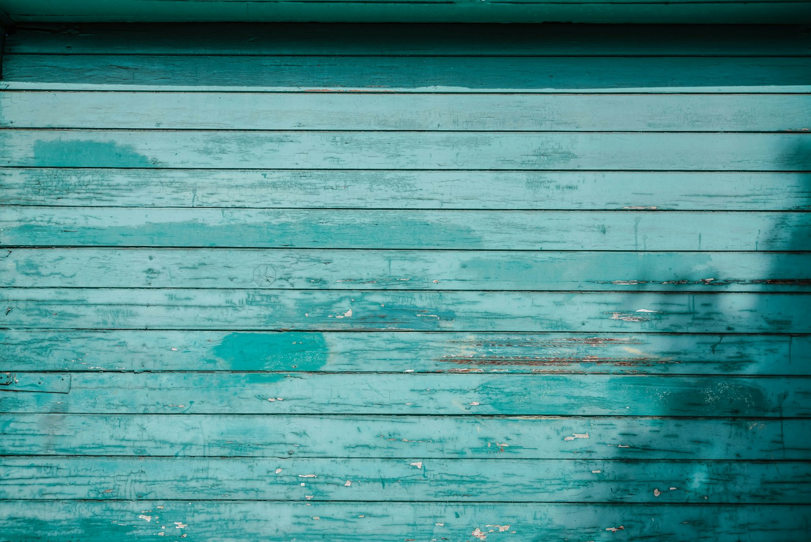 Sony a7R IV sample photo. Teal painted wall photography