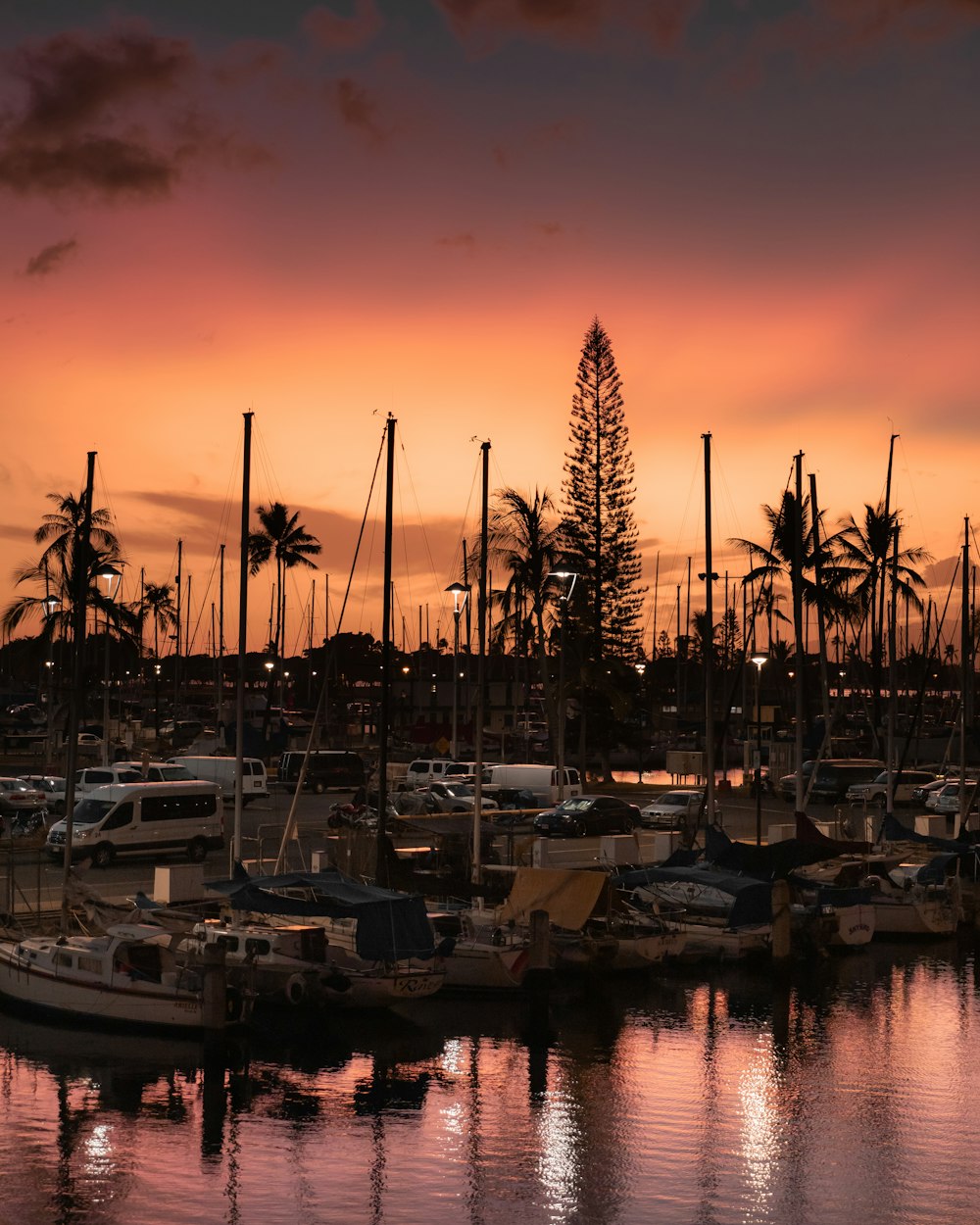 lined boats on body of water at golden hour