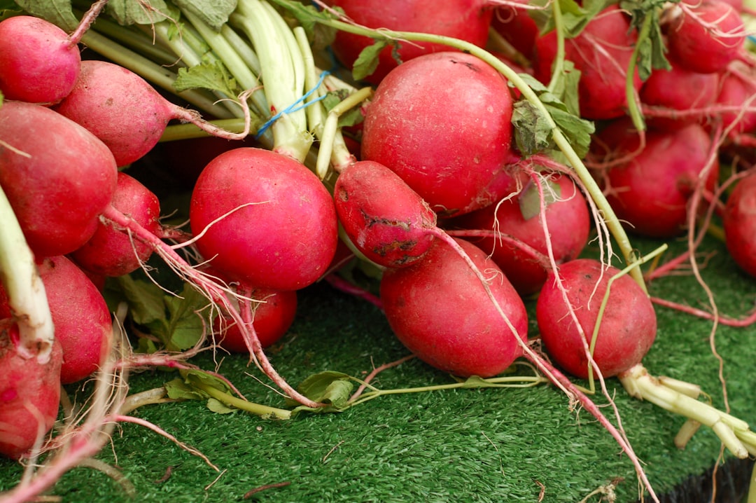 bunch of red vegetables