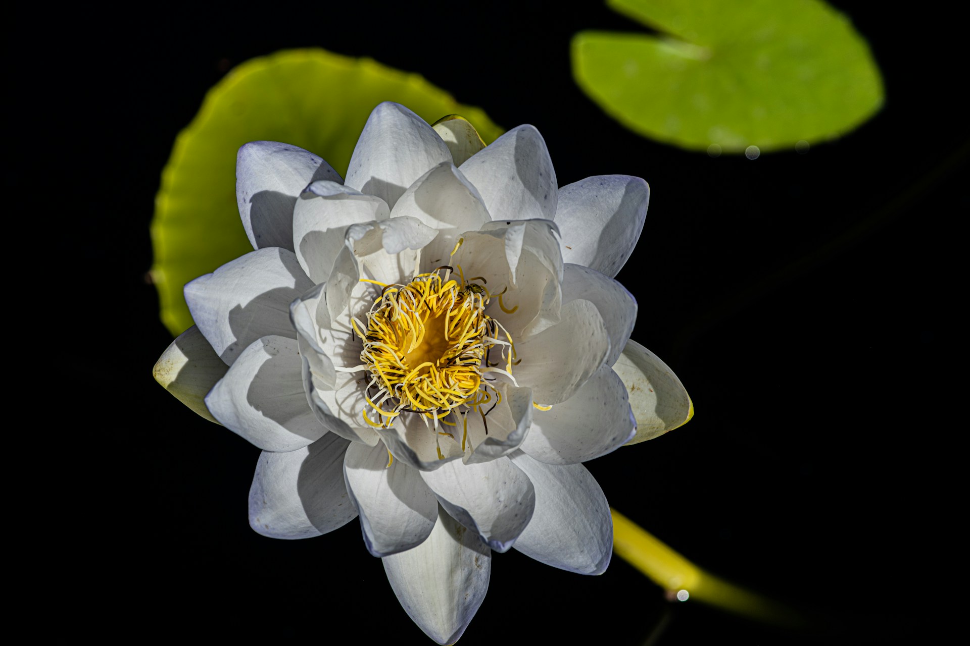 gray computer monitor