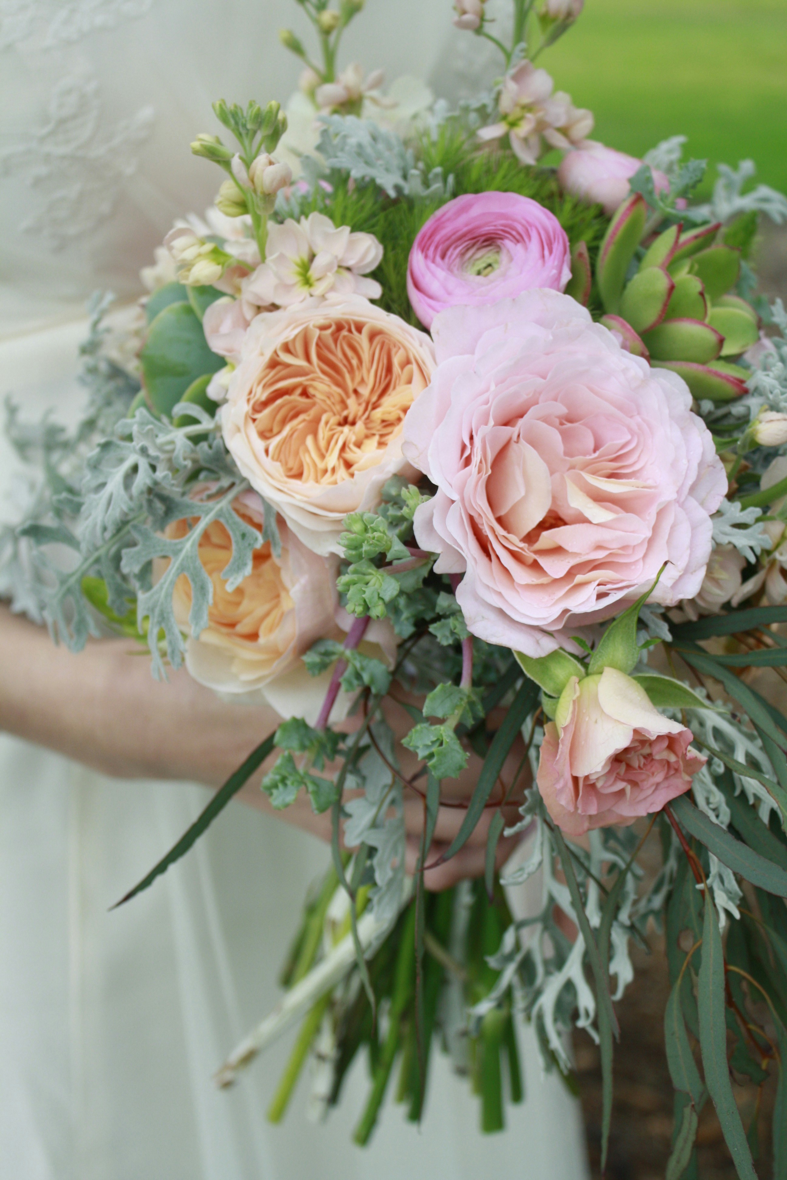 pink and orange flowers