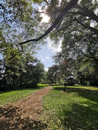 Sunlit pathway winding through the park with caravans visible in the background.