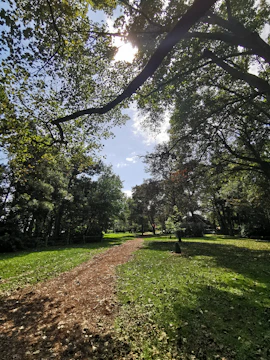 Sunlit pathway winding through the park with caravans visible in the background.