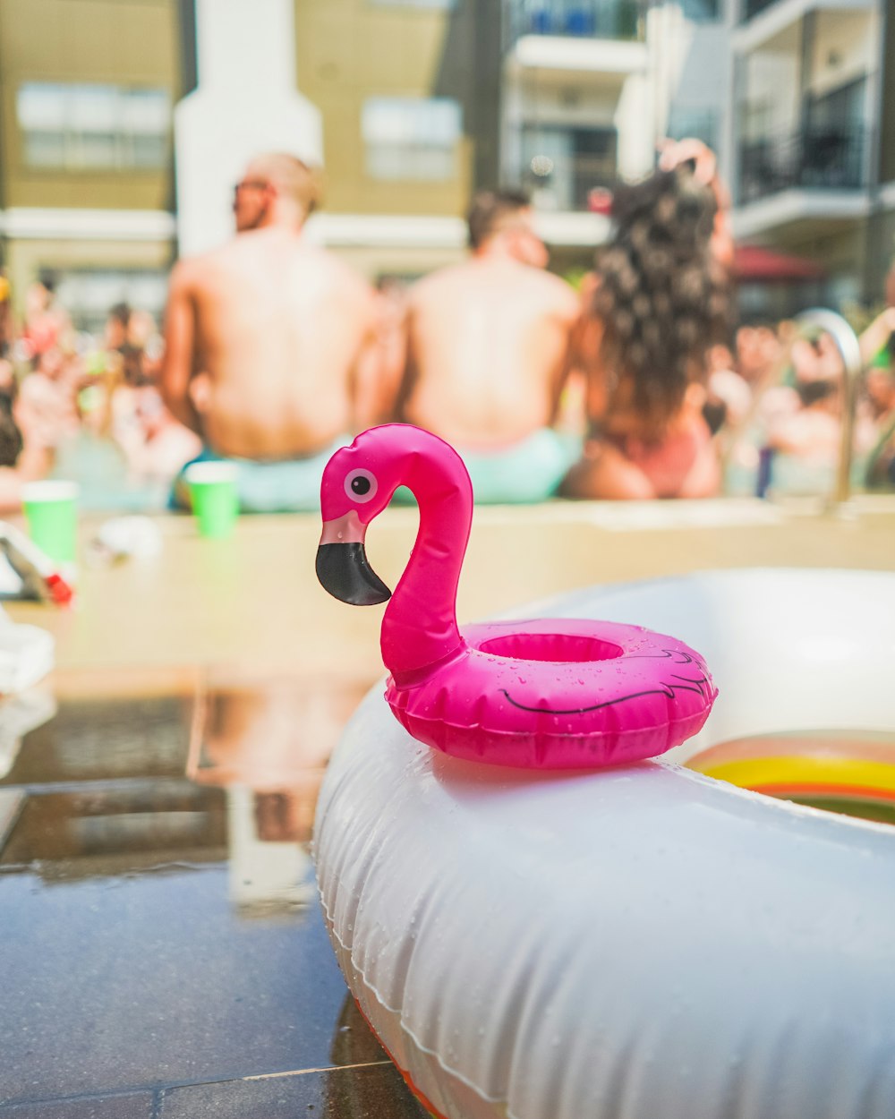 pink inflatable swan