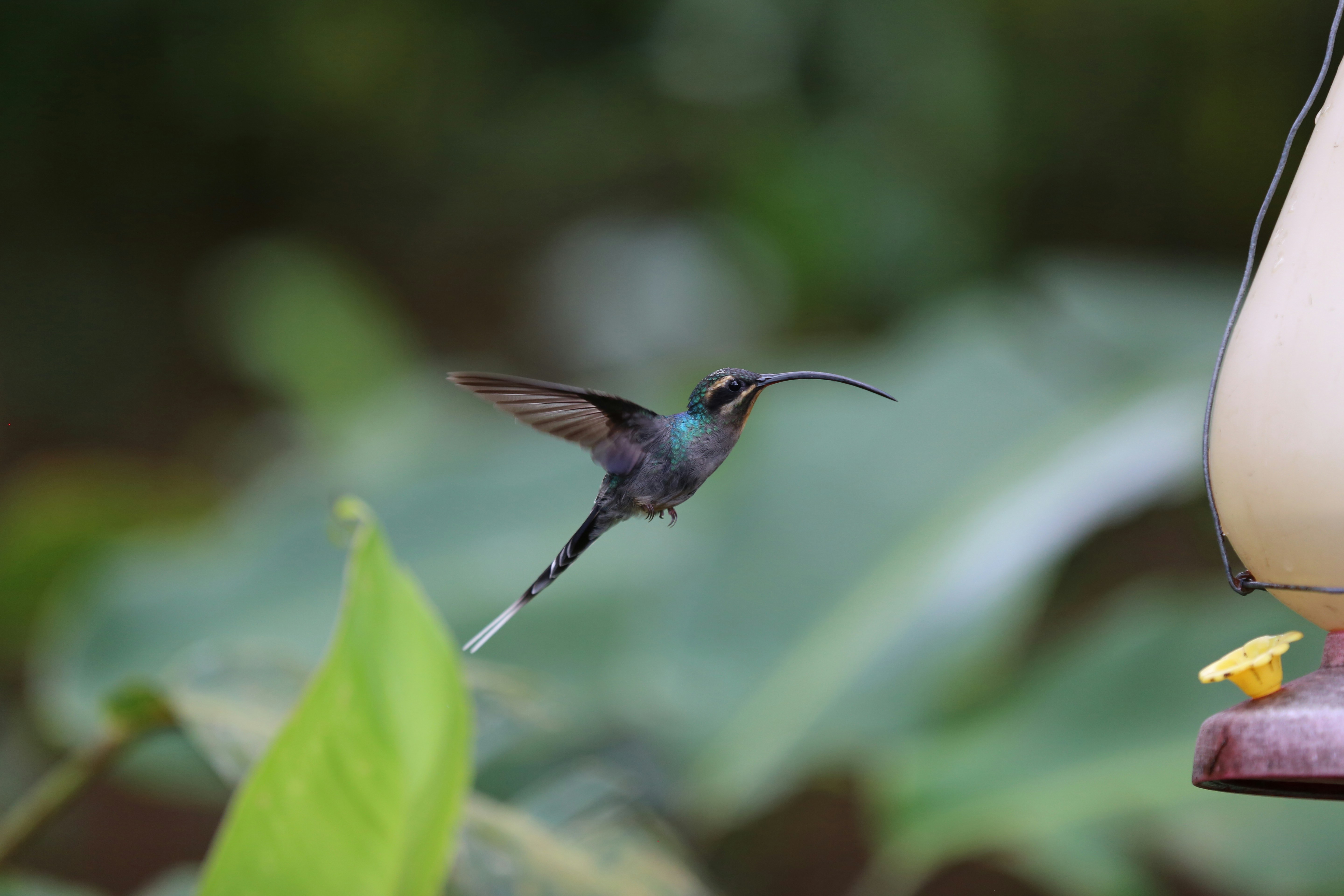 Photo by alexabraham94