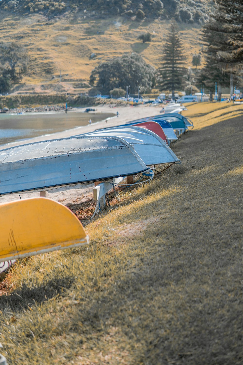 boats on shore during day