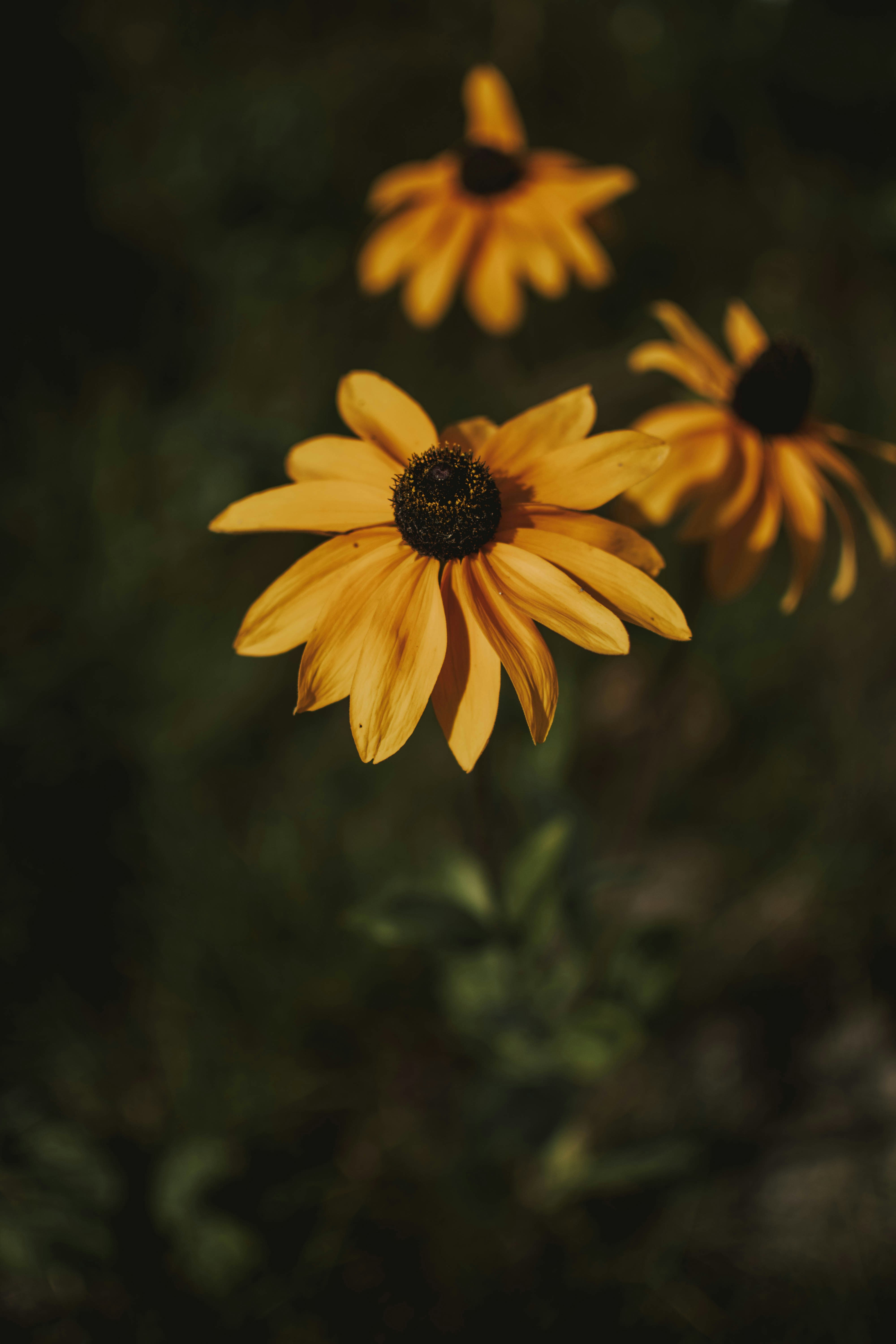 Photo by lilartsy