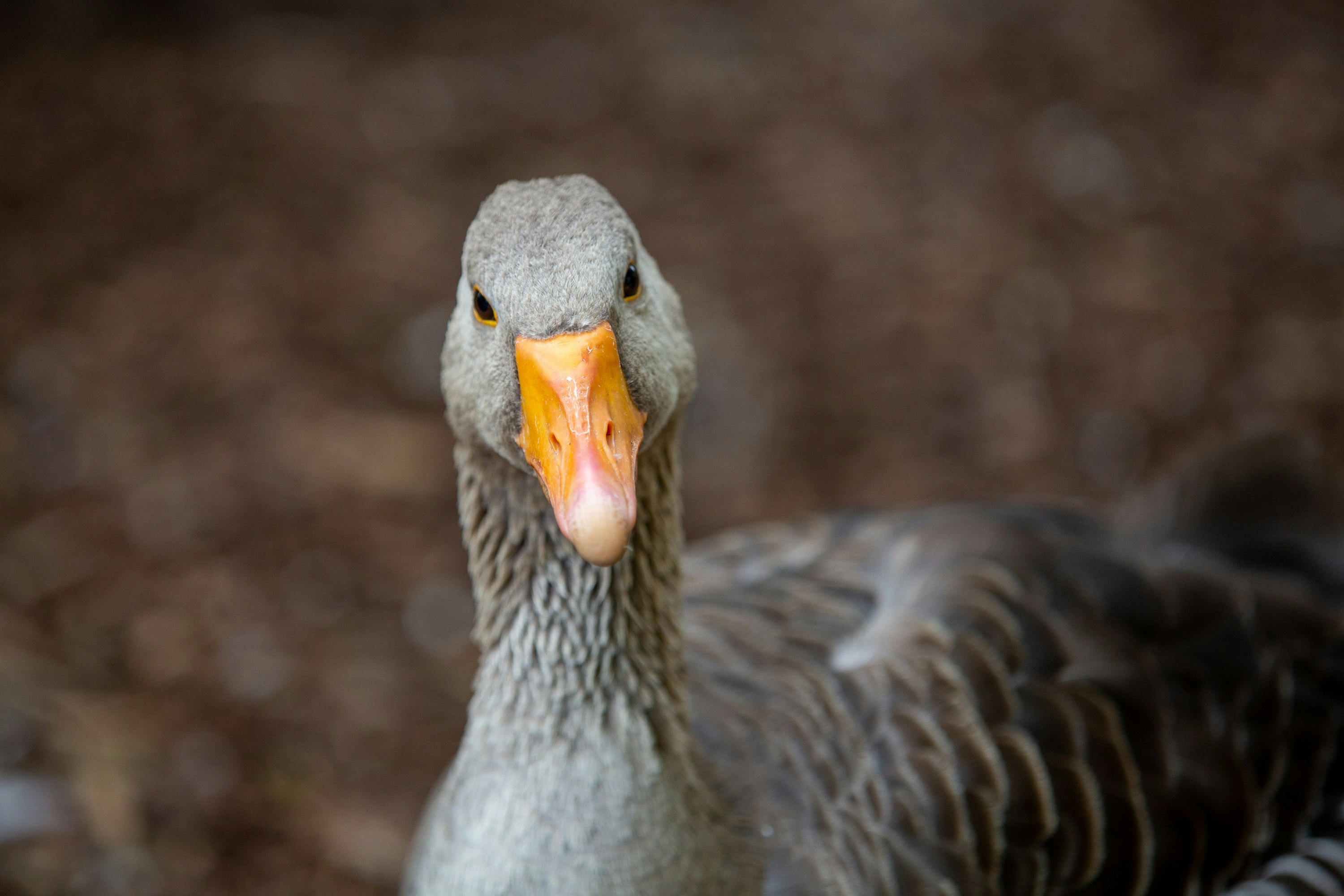 Photo by rtjintjoenlim