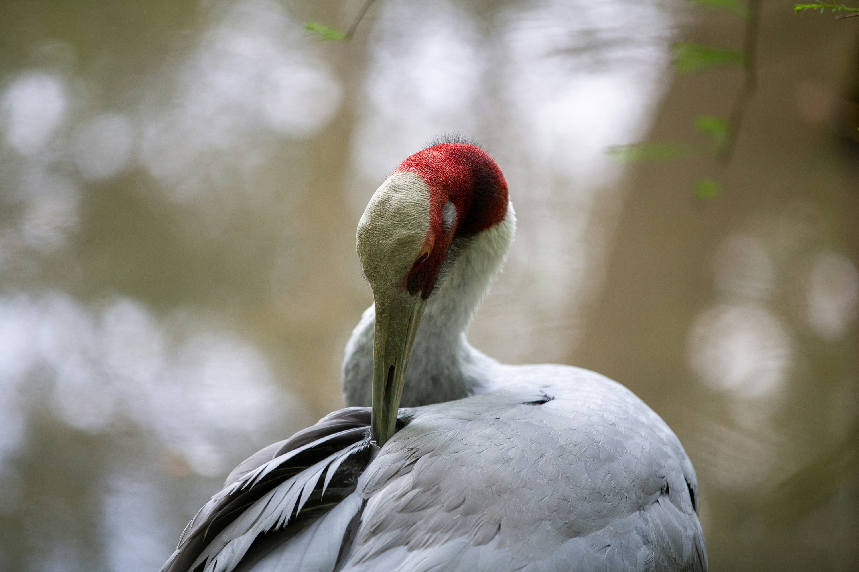 Photo by rtjintjoenlim