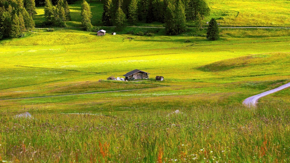 a grassy field with a small house in the middle of it