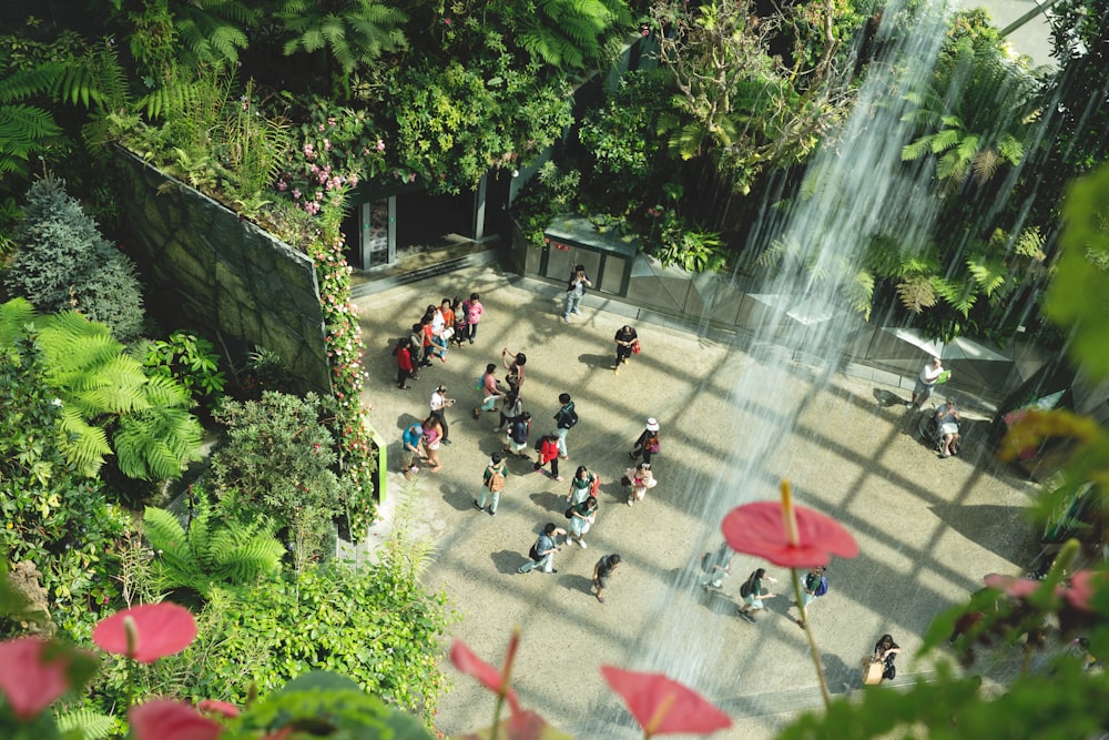 people at the field near trees and plants