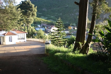 A peaceful rural setting featuring a house with a red-tiled roof surrounded by lush green trees and a grassy landscape. The area is well lit with sunlight filtering through the trees, casting shadows on the ground. The background includes hills and additional buildings, giving a sense of a small, secluded village.