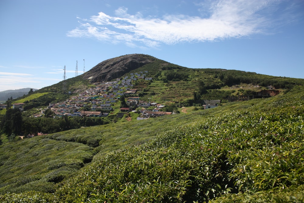 houses on hill under blue sky